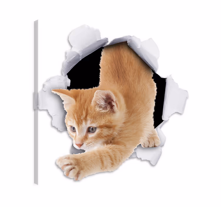 Cat wall art optical illusion cat vinyl decor - TenStickers