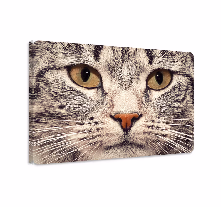 Cat wall art cat face laptop sticker - TenStickers