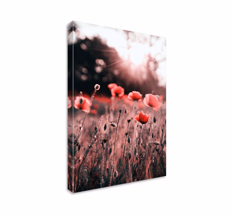 Flowers canvas poppy meadow glow - TenStickers