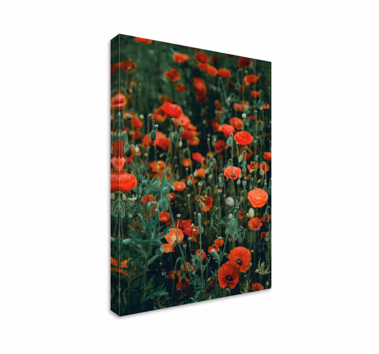 Flowers canvas red wildflower field - TenStickers