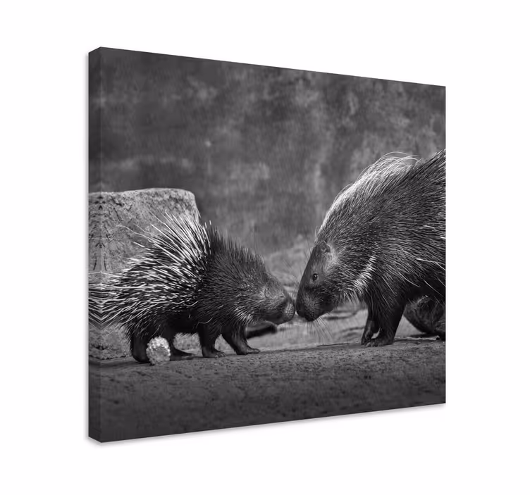 Porcupine with baby animal canvas prints - TenStickers