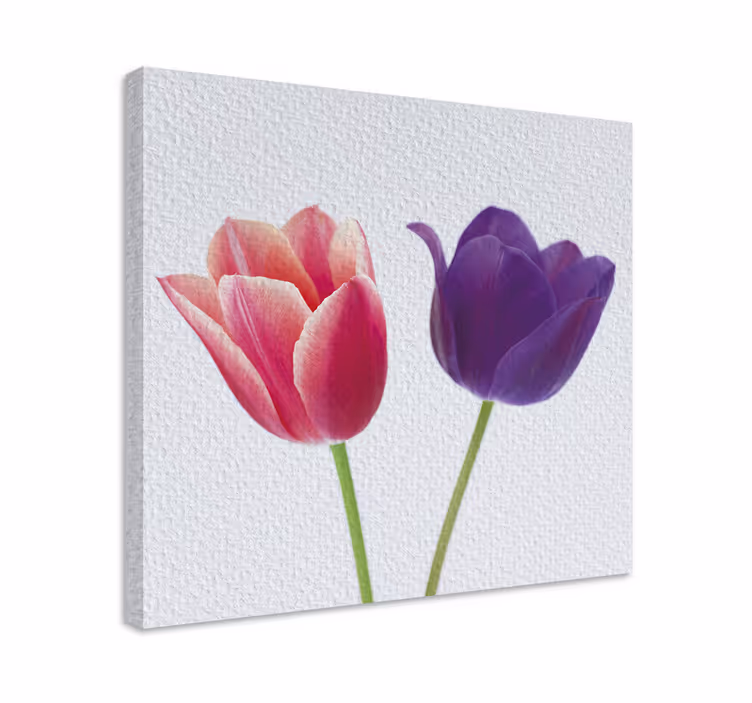 Flowers canvas tulip arrangement - TenStickers