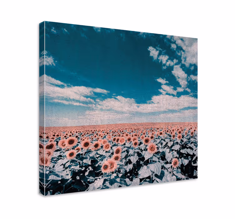 Sunflower Field Horizon Flowers  canvas - TenStickers