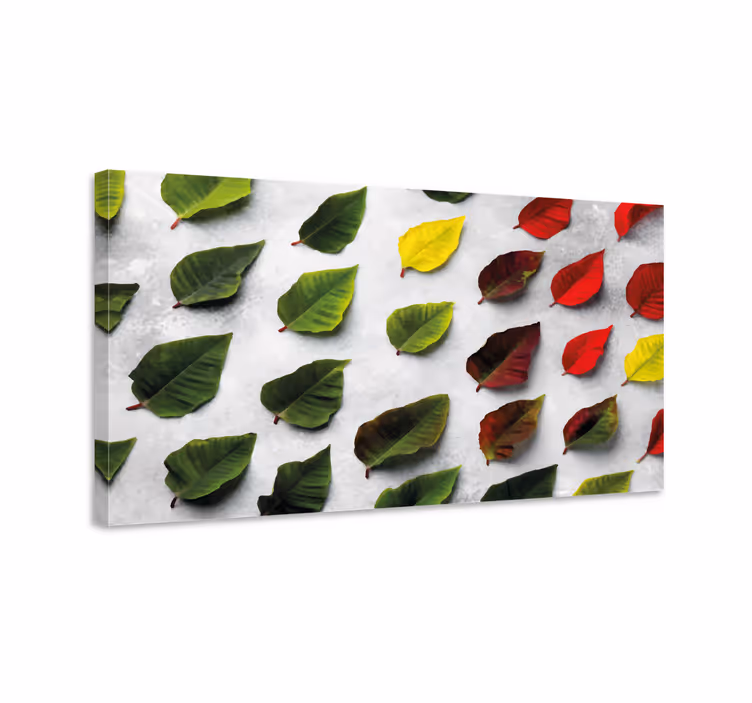 Diverse Leaf Collection Flowers  canvas - TenStickers