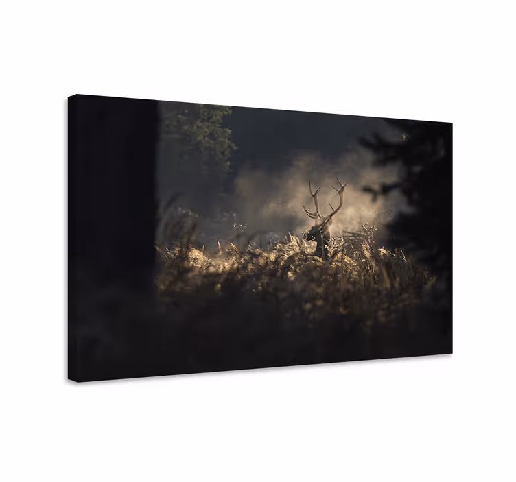 Stag canvas regal stag outline - TenStickers