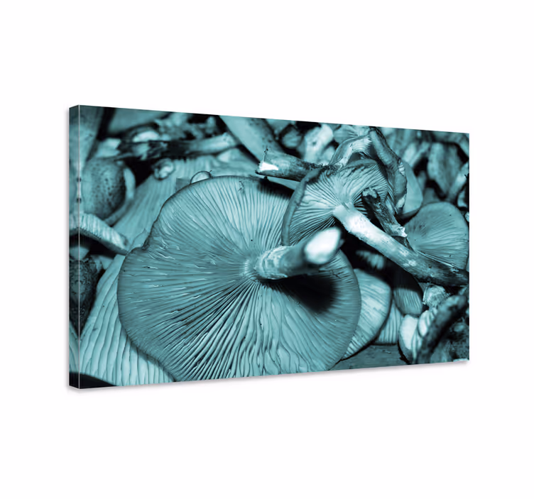Flowers canvas mushroom growth artwork - TenStickers