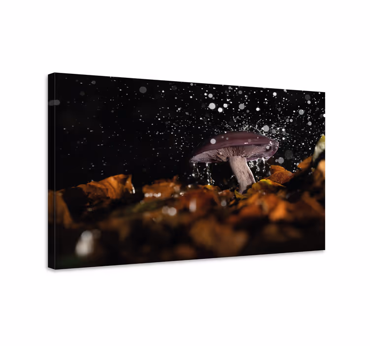 Flowers canvas mushroom splash art print - TenStickers
