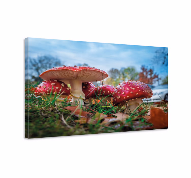 Flowers canvas red mushroom cluster art print - TenStickers