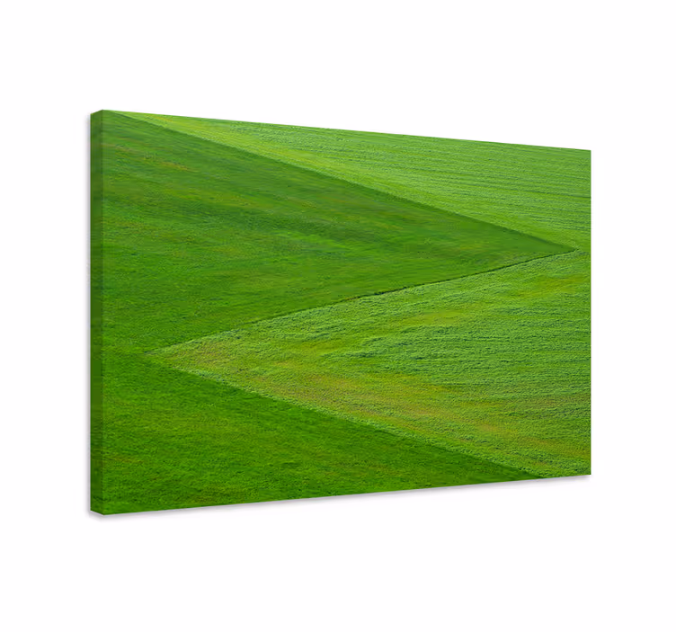 Lush green terrain landscape canvas - TenStickers