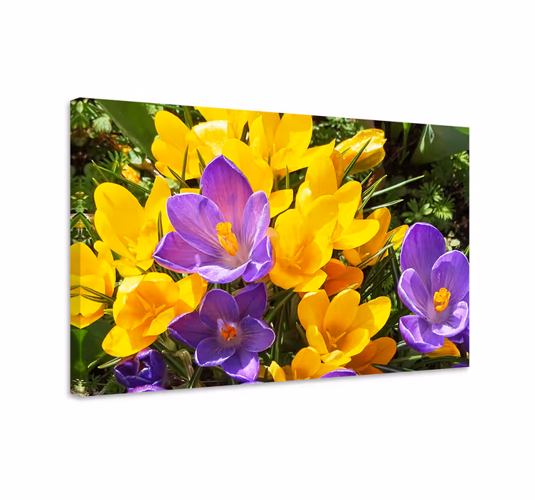 Flowers canvas colorful spring blossoms - TenStickers