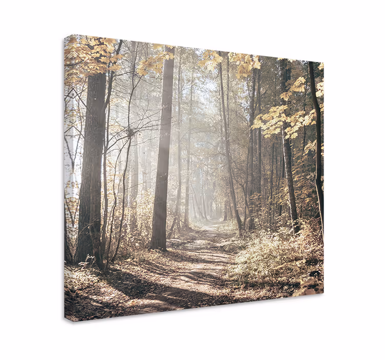 "Nature" sunlight in forest Tree wall canvas - TenStickers