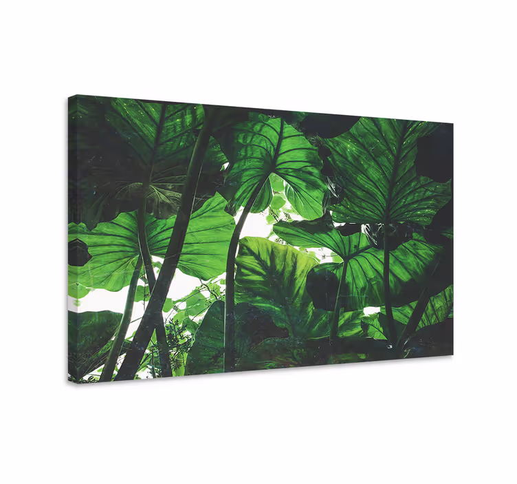 Flowers canvas tropical leaf canopy - TenStickers