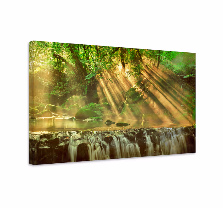Sunlit forest stream landscape canvas - TenStickers