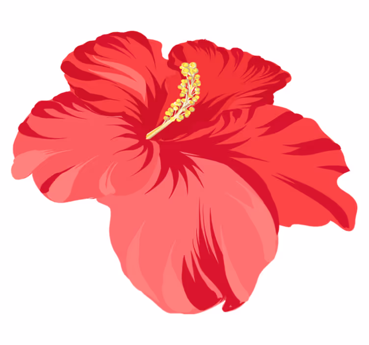 Vinyl rug flowers red hibiscus flower set - TenStickers