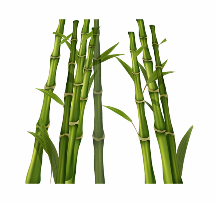 Vinyl rug bathroom bamboo pattern - TenStickers