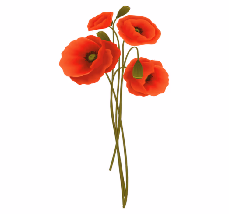 Vinyl rug bathroom delicate poppies design - TenStickers