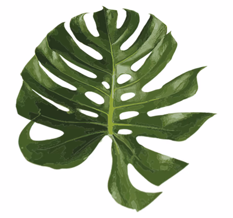 Vinyl rug flowers delicious monstera leaf - TenStickers