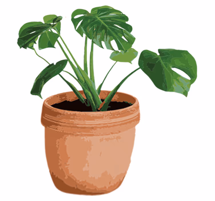 Vinyl rug flowers simple monstera pot - TenStickers