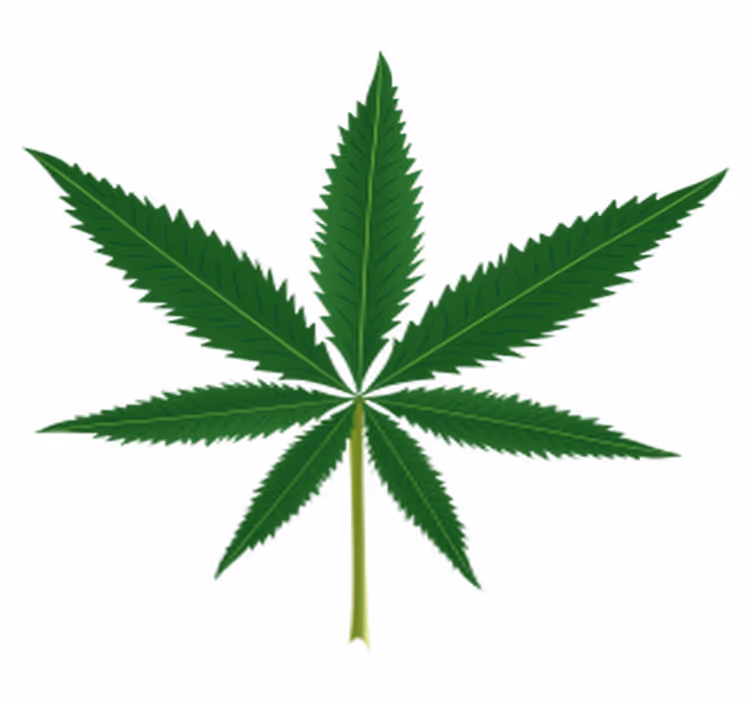 Vinyl rug flowers cannabis leaf - TenStickers