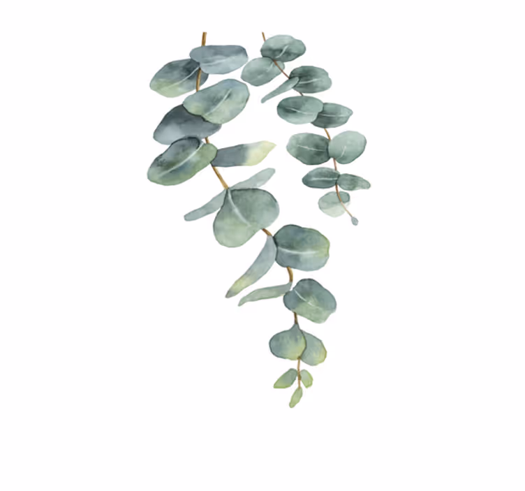 Vinyl rug flowers eucalyptus twigs - TenStickers