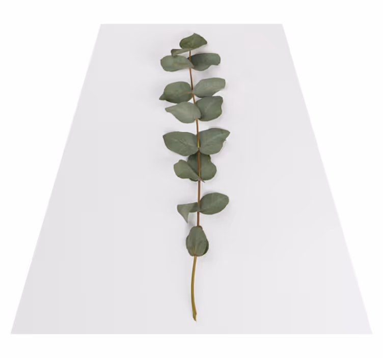 Vinyl rug flowers eucalyptus leaves - TenStickers