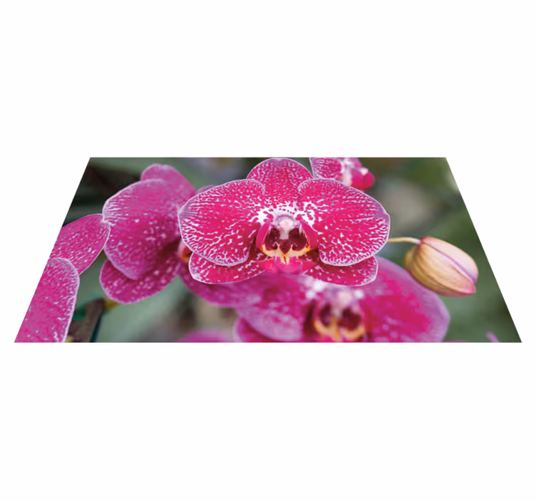 Vibrant Orchid Blooms vinyl rug flowers - TenStickers