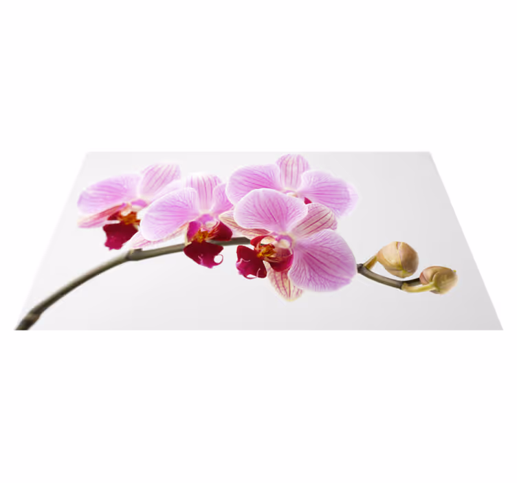 Pink orchid design vinyl rug flowers - TenStickers