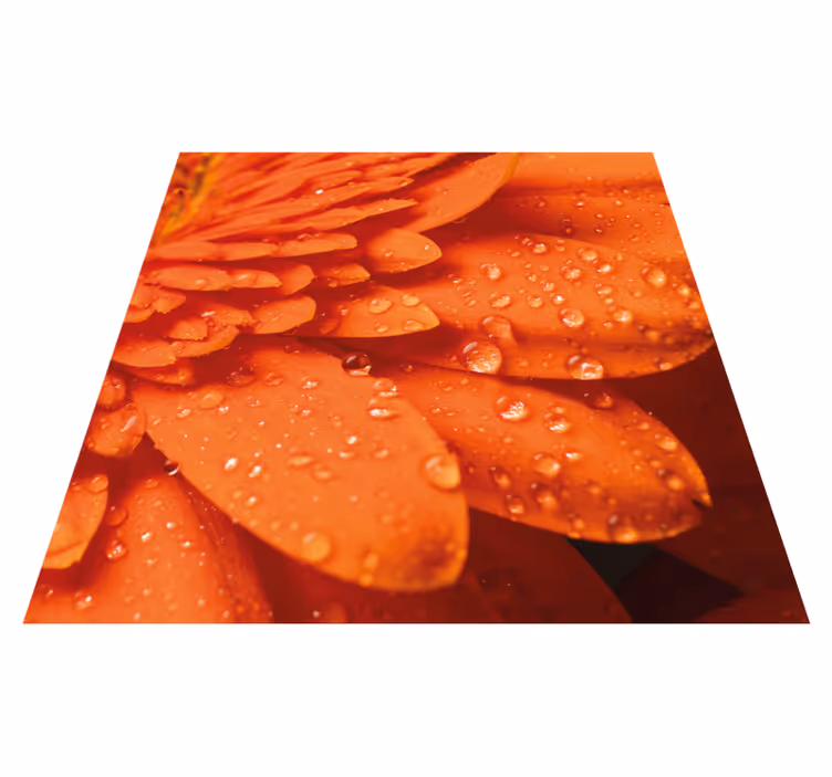 Bright orange petals vinyl rug flowers - TenStickers