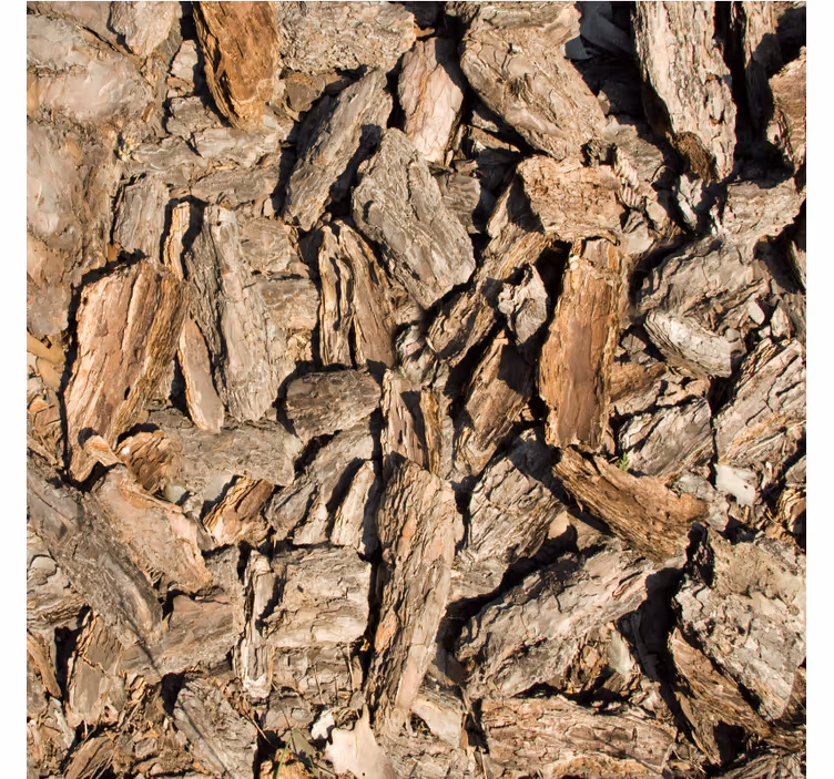 Ornamental wallpaper in brown rustic tree bark - TenStickers