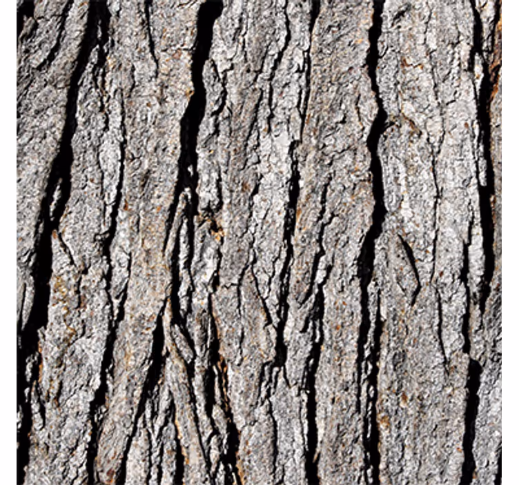 Wood effect wallpaper realistic bark design - TenStickers