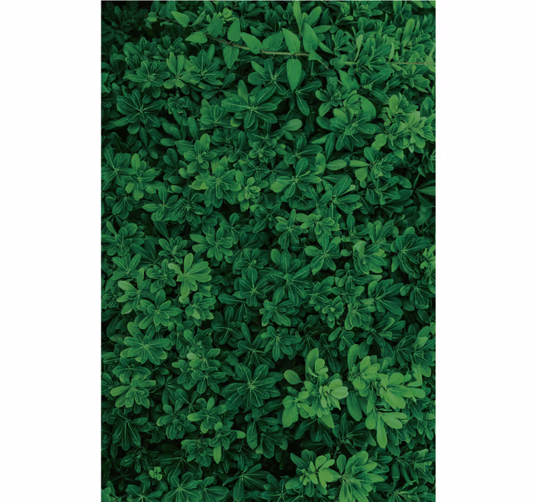 Nature wallpaper deep green scenery - TenStickers