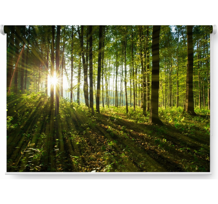 Tree roller blind golden sunburst forest - TenStickers