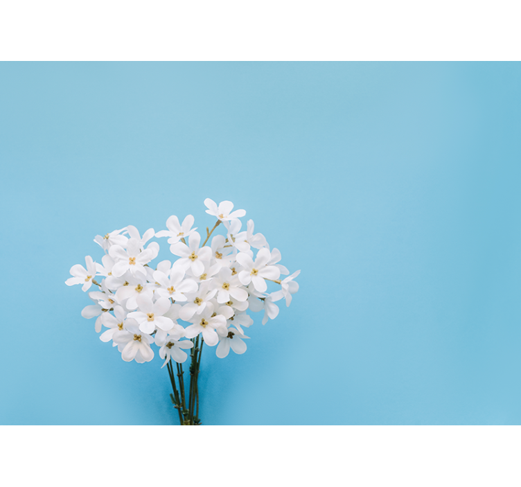 Blue roller blind jazmin blue backdrop - TenStickers