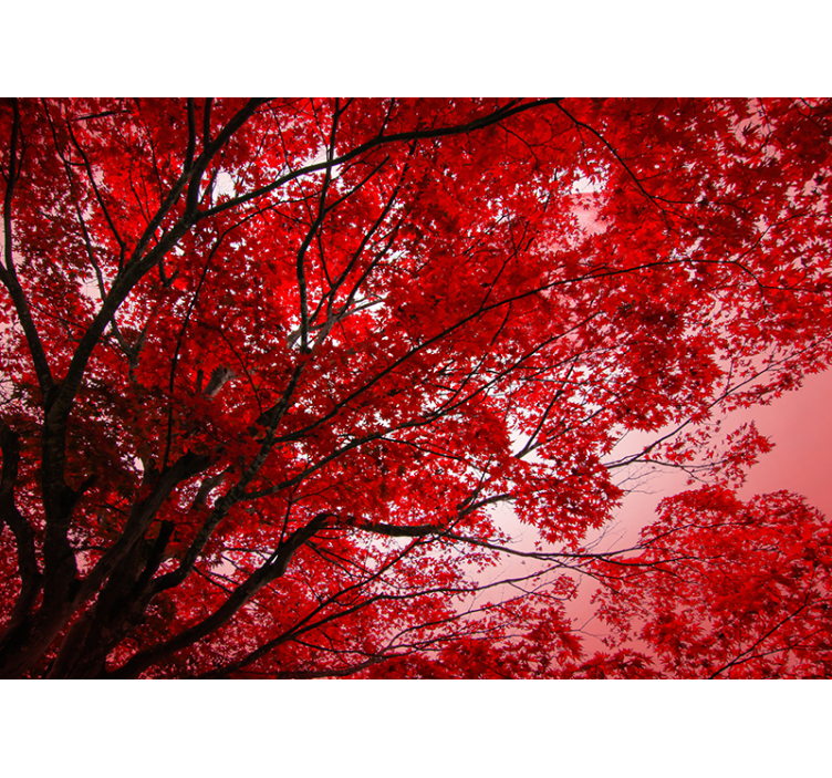Red roller blind with crimson branches - TenStickers