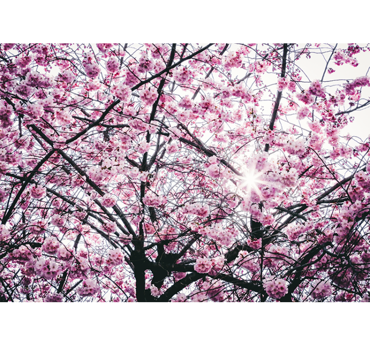 Pink roller blind cherry blossom trees design - TenStickers