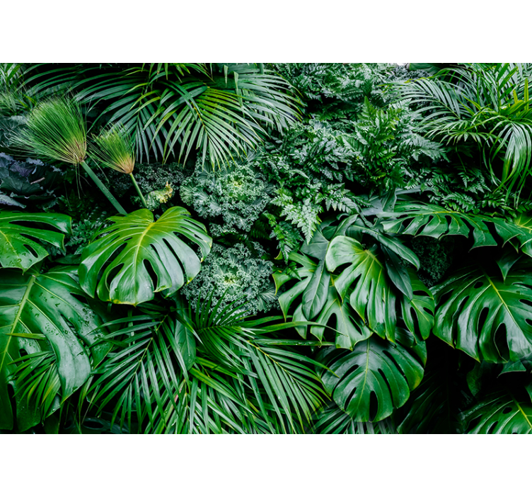 Green roller blind rainy jungle design - TenStickers