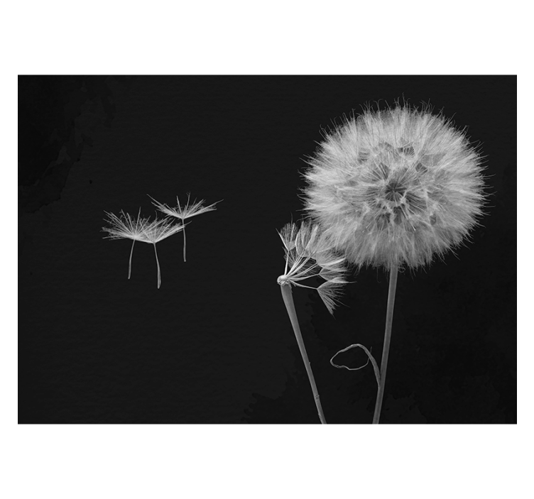Grey roller blind dandelion seed wall mural - TenStickers