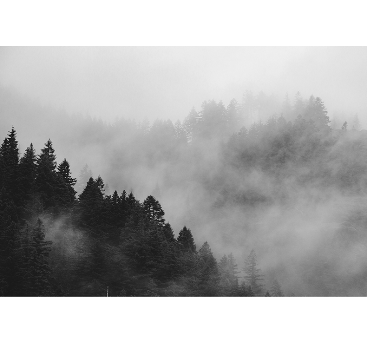 Grey roller blind black and white foggy forest - TenStickers