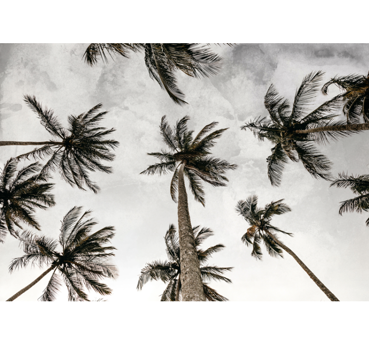 Grey roller blind with low-angle palm tree view - TenStickers