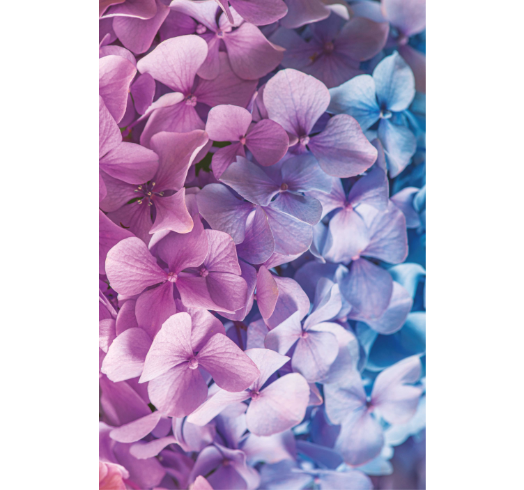 Hydrangea Petal Cluster flower roller blind - TenStickers