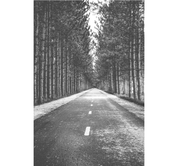 SERENE FOREST PATH roller blind - TenStickers