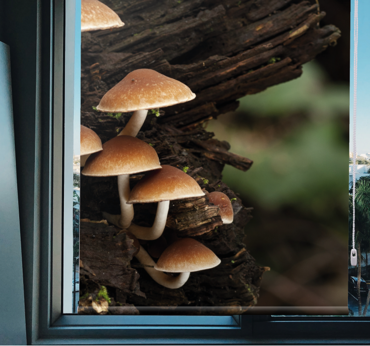 Mushrooms on Wood flower roller blind - TenStickers