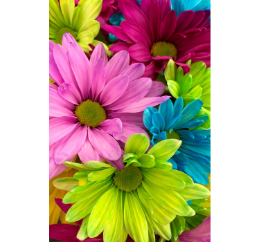Colorful flowers roller blind for living room - TenStickers