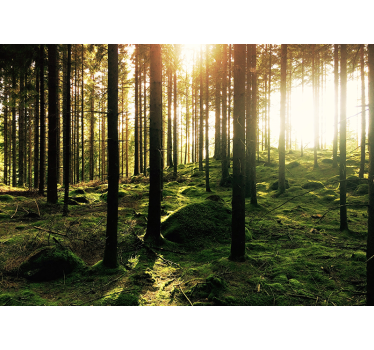 Sunlit forest roller blind for living room - TenStickers