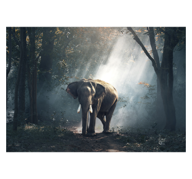 Roller blind for living room elephant in the forest - TenStickers