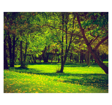 Serene forest view roller blind for living room - TenStickers