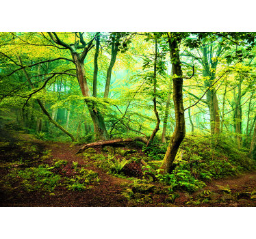 Green lightful roller blind for living room - TenStickers
