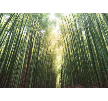 Bamboo forest zen roller blind for living room - TenStickers