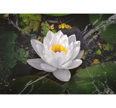 White and yellow lotus roller blind for living room - TenStickers