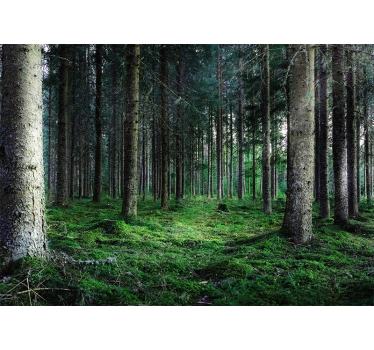 Roller blind for living room in humid tropical forest - TenStickers